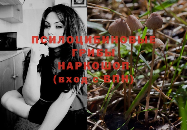 кокс Абаза