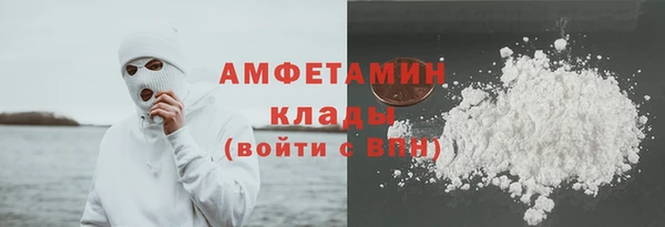 гашик Гусь-Хрустальный