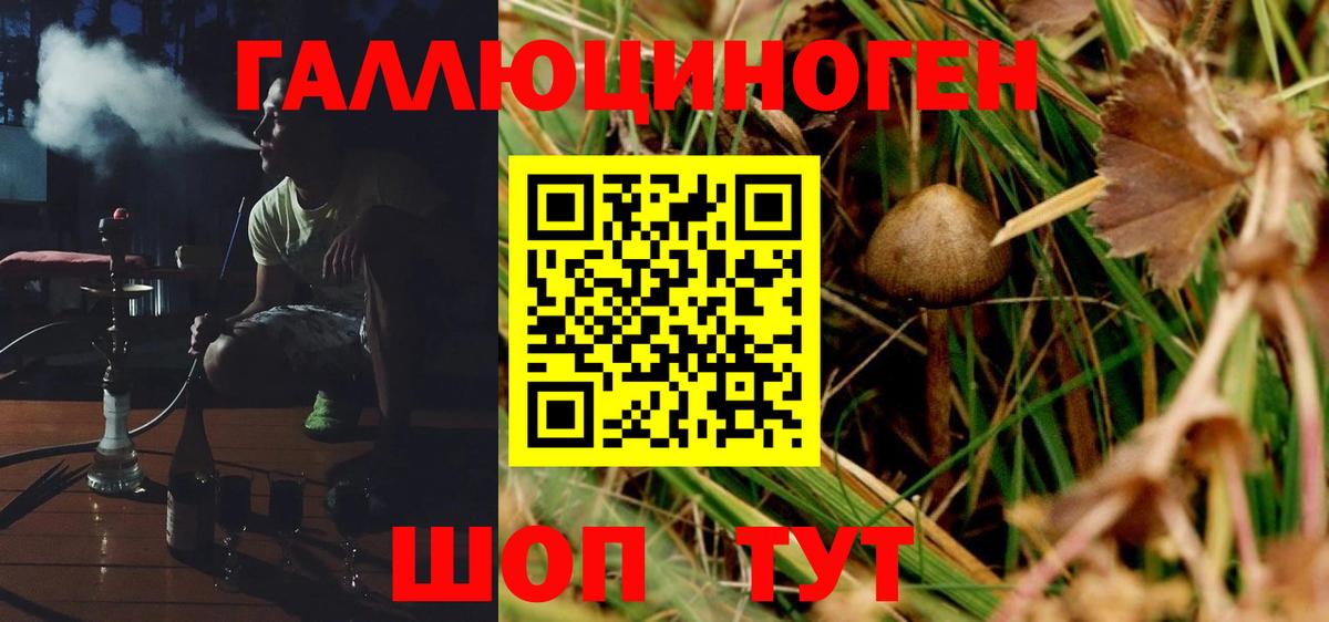 Псилоцибиновые грибы MAGIC MUSHROOMS Тольятти